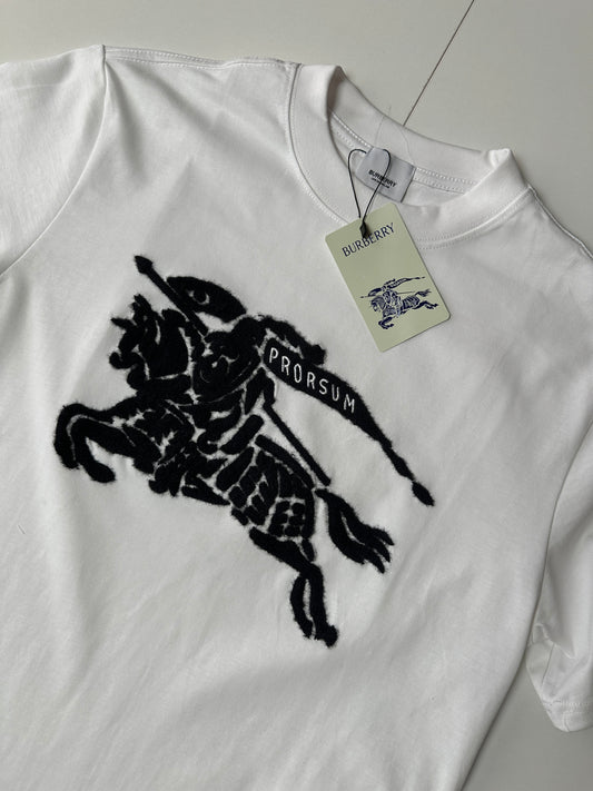CAMISETA BURBERRY OVERSIZE 🔥 UNIDADES LIMITADAS ‼️ ALTA CALIDAD G5 🔝 MODELO 2026 ✅
