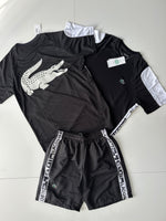 Conjunto Verano Lacoste