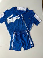 Conjunto Verano Lacoste