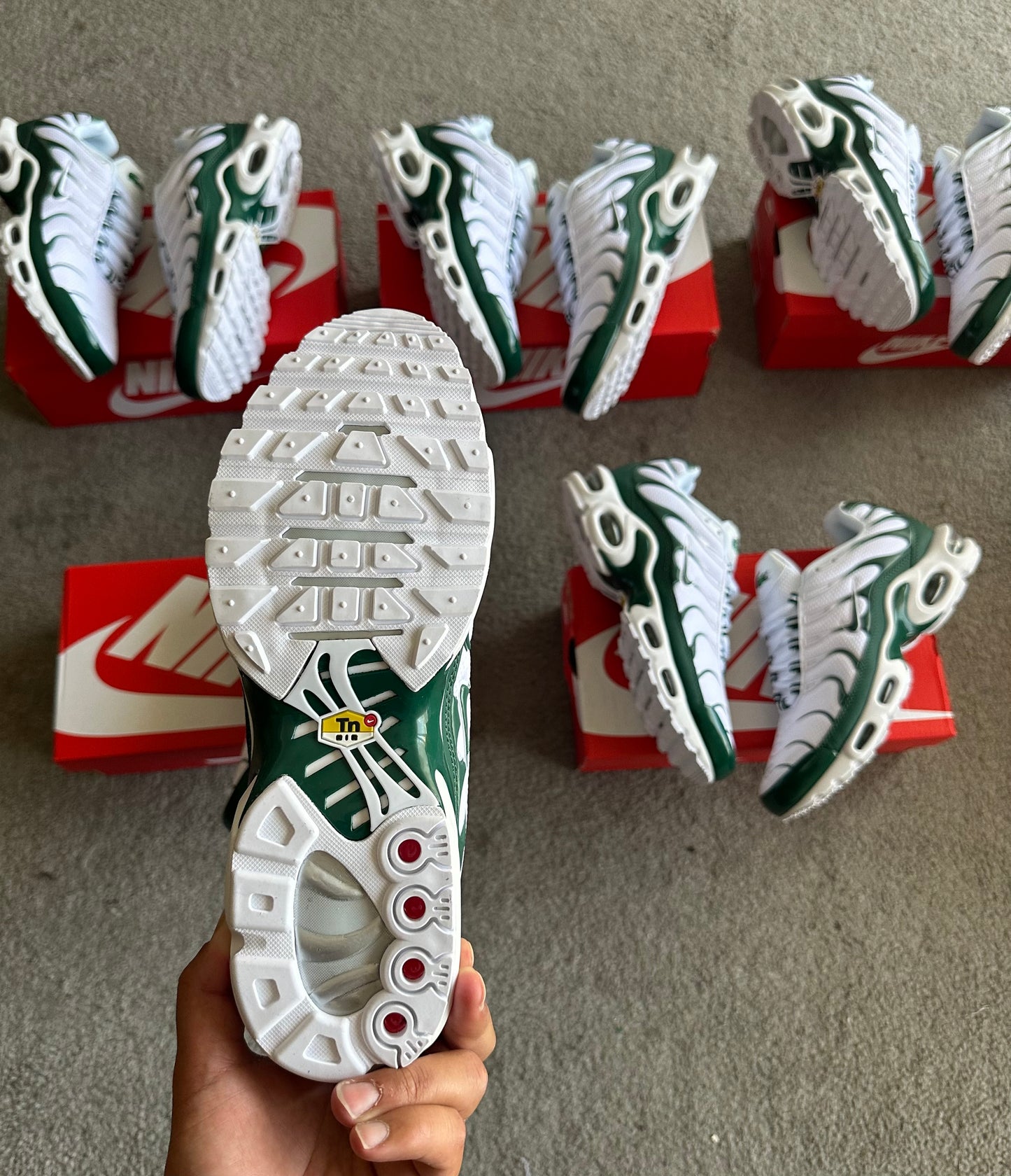 NIKE TN LACOSTE 🐊🔥