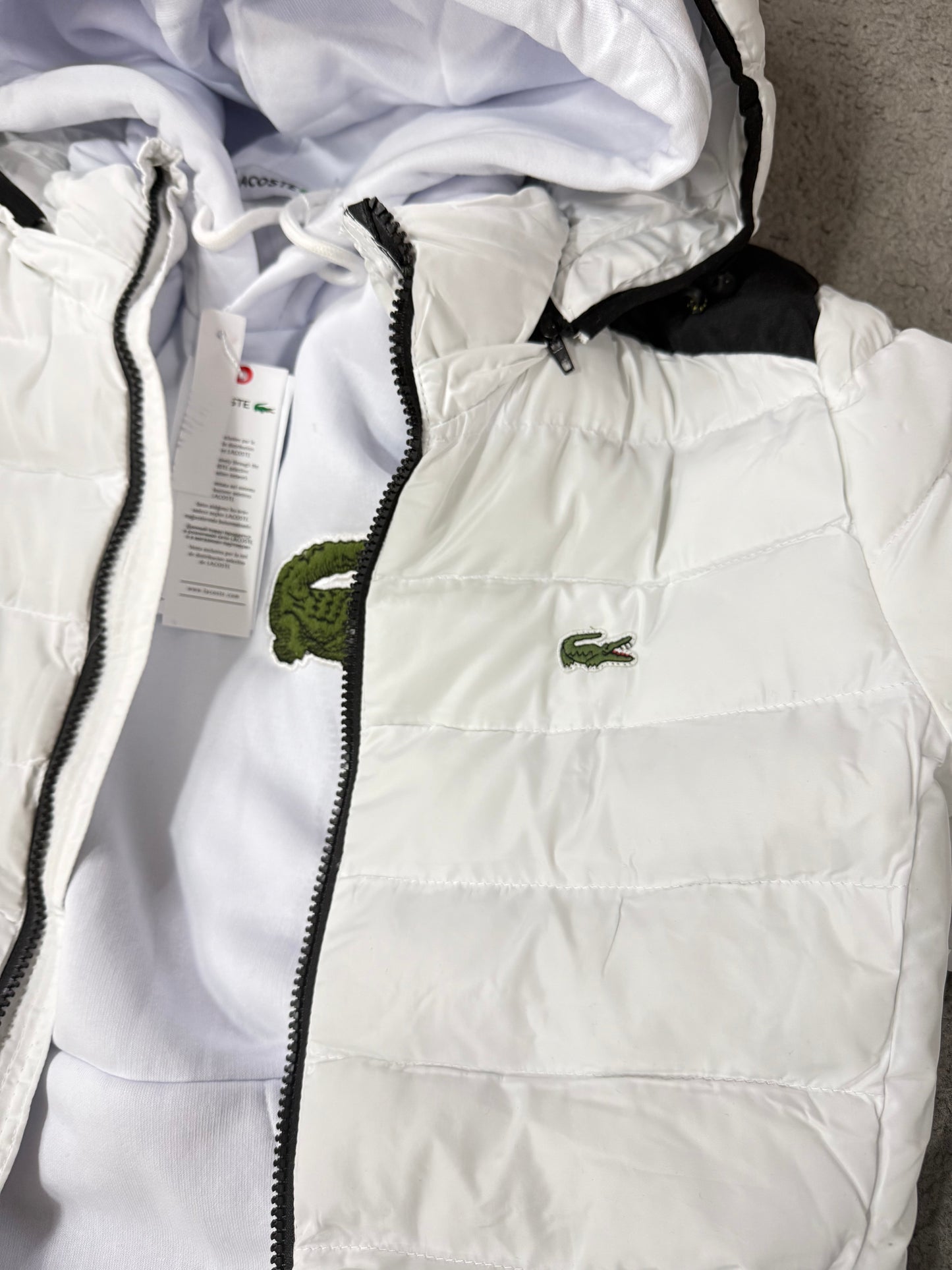 SUPER PACK 🔥 CHANDAL LACOSTE + CHAQUETA LACOSTE 😍 HIGH QUALITY 1.1 🥵