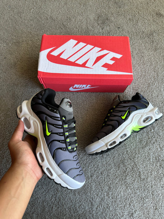 NIKE TN LIMA/CINZA