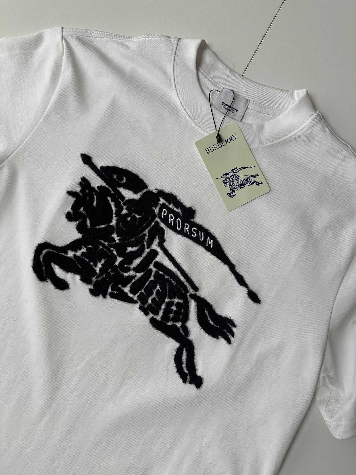 CAMISETA BURBERRY OVERSIZE 🔥 UNIDADES LIMITADAS ‼️ ALTA CALIDAD G5 🔝 MODELO 2026 ✅